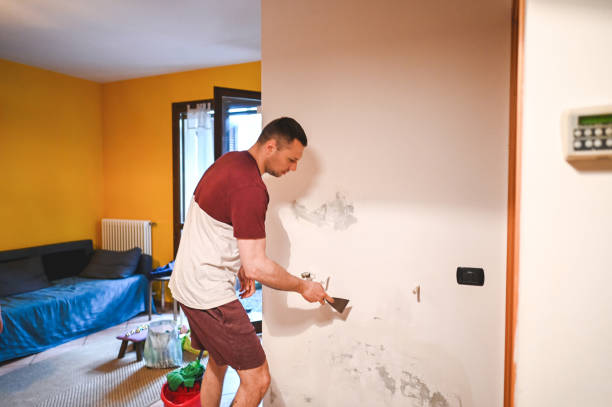 Best Localized Mold Remediation (e.g., coastal areas, humid climates) in Princeton, MN